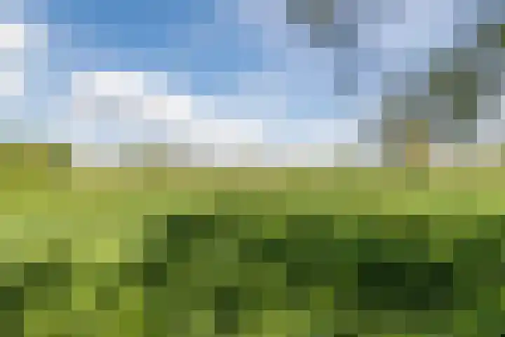 Bisschopsweg 35 Bourtange thumbnail 56