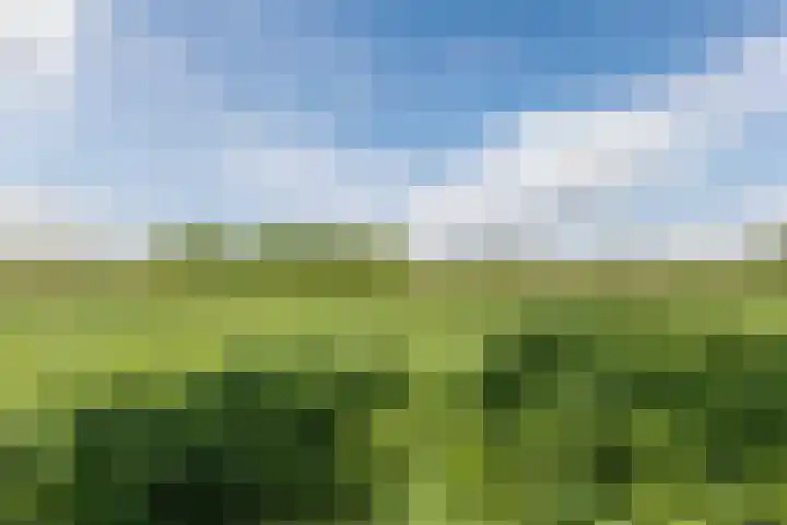 Bisschopsweg 35 Bourtange thumbnail 57