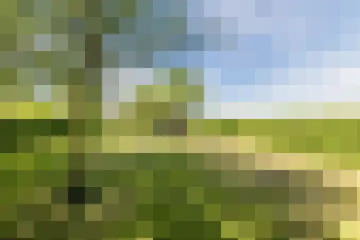 Bisschopsweg 35 Bourtange thumbnail 58