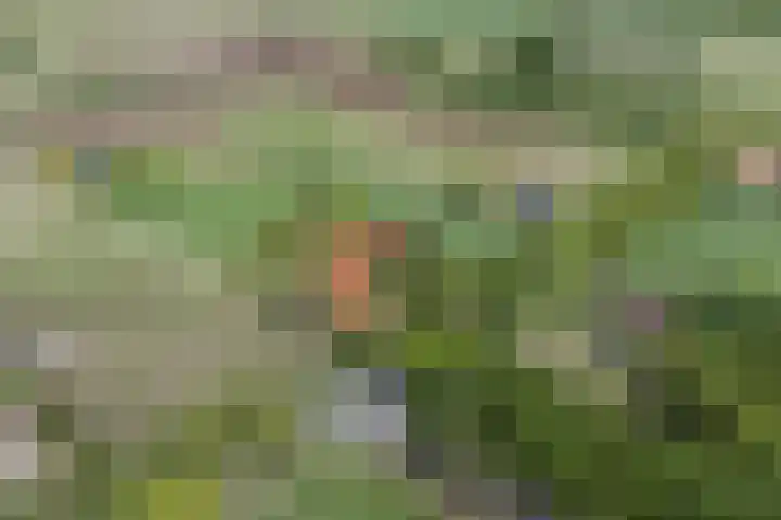 Bisschopsweg 35 Bourtange thumbnail 59