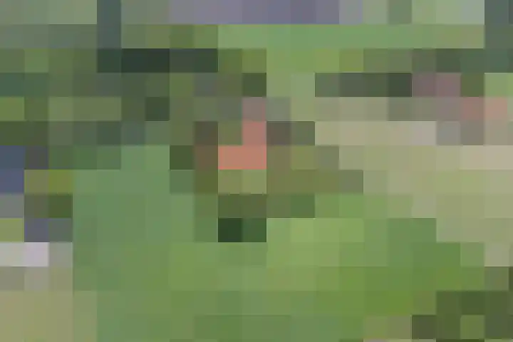 Bisschopsweg 35 Bourtange thumbnail 60