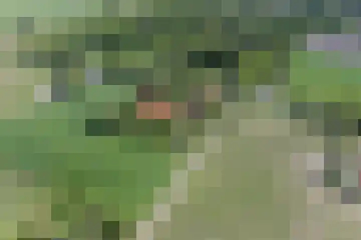 Bisschopsweg 35 Bourtange thumbnail 61