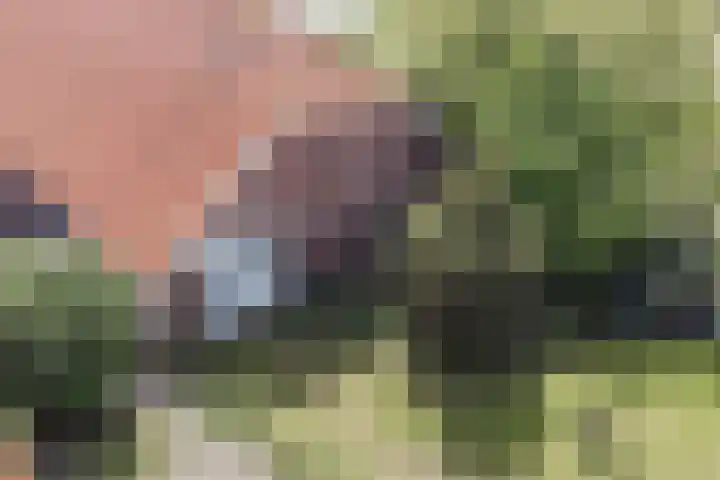 Bisschopsweg 35 Bourtange thumbnail 66