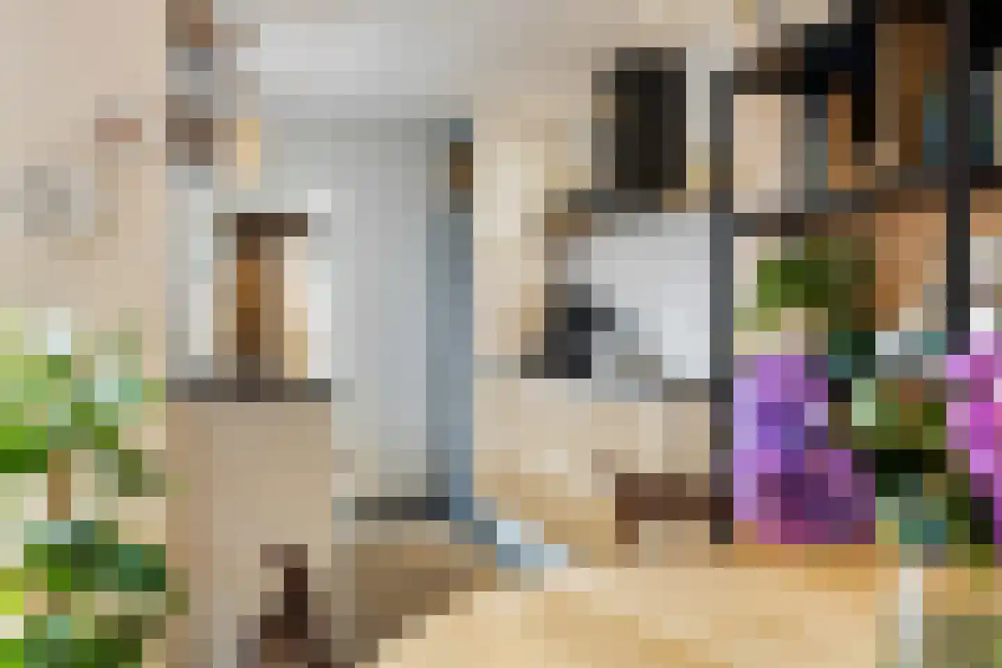 Bisschopsweg 36 Amersfoort thumbnail 11