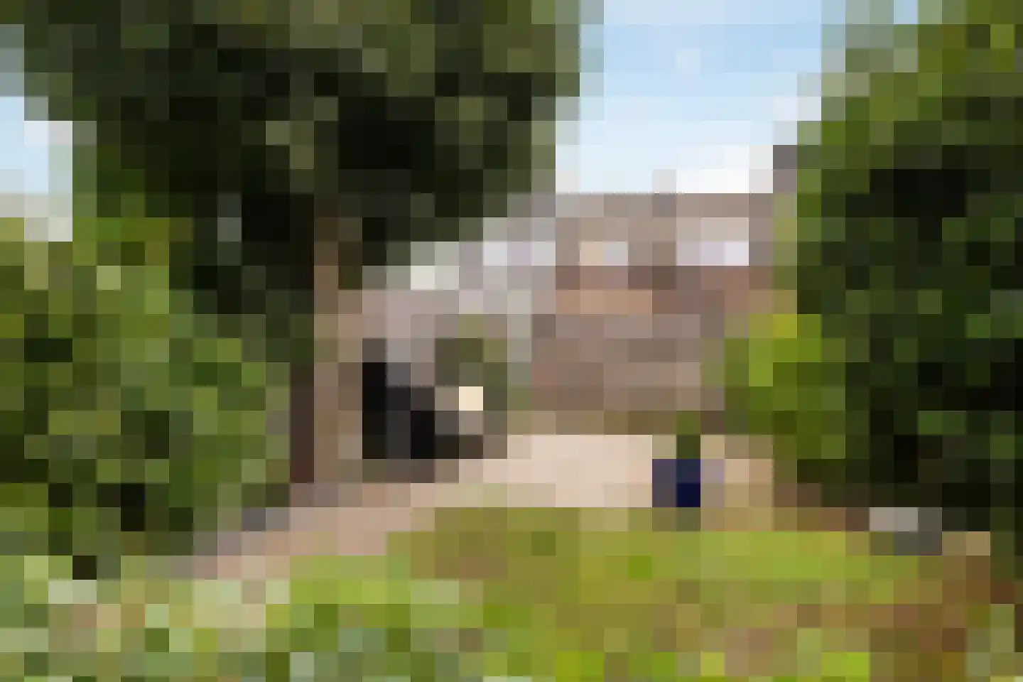 Bisschopsweg 36 Amersfoort thumbnail 22