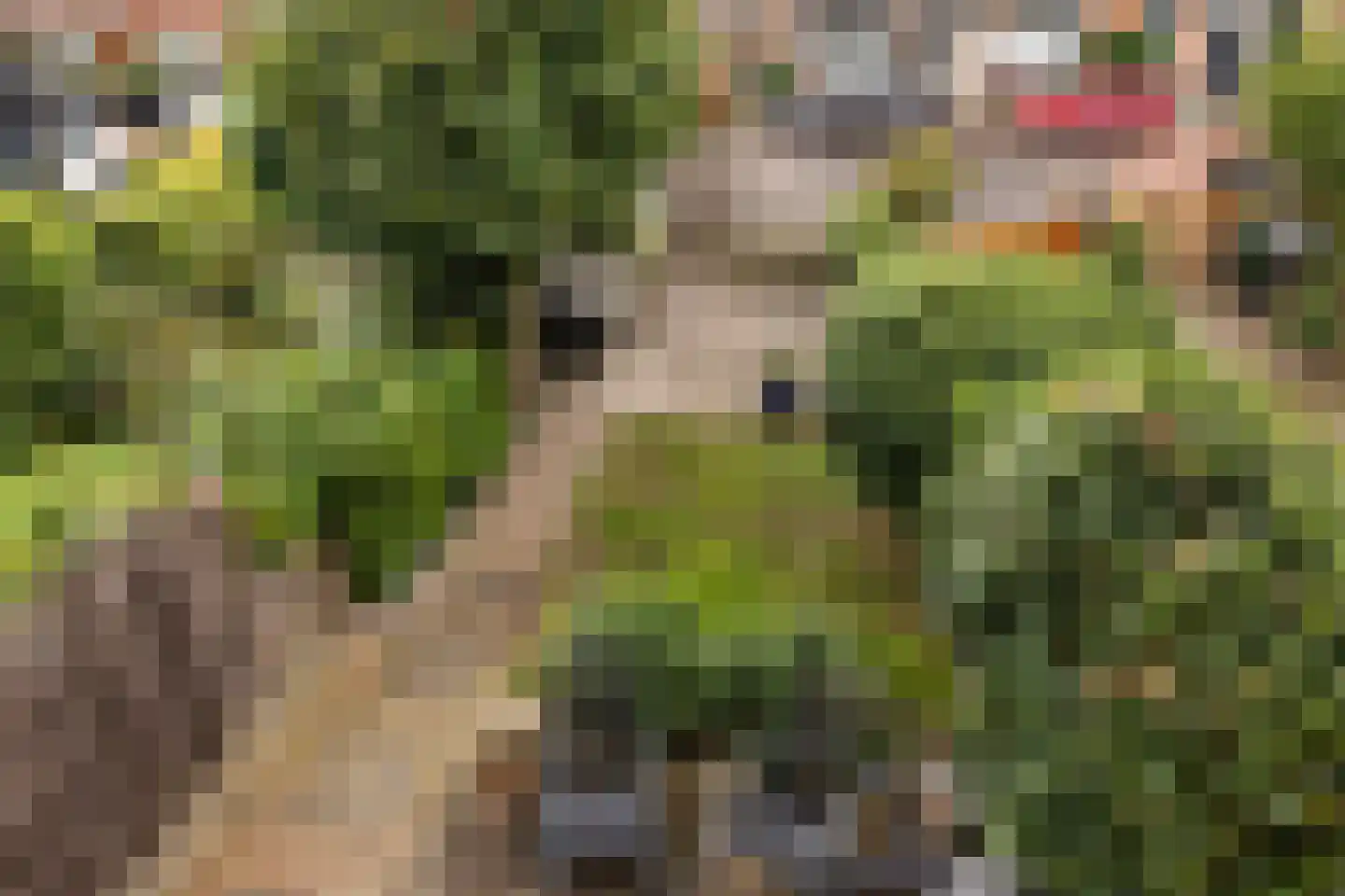 Bisschopsweg 36 Amersfoort thumbnail 23