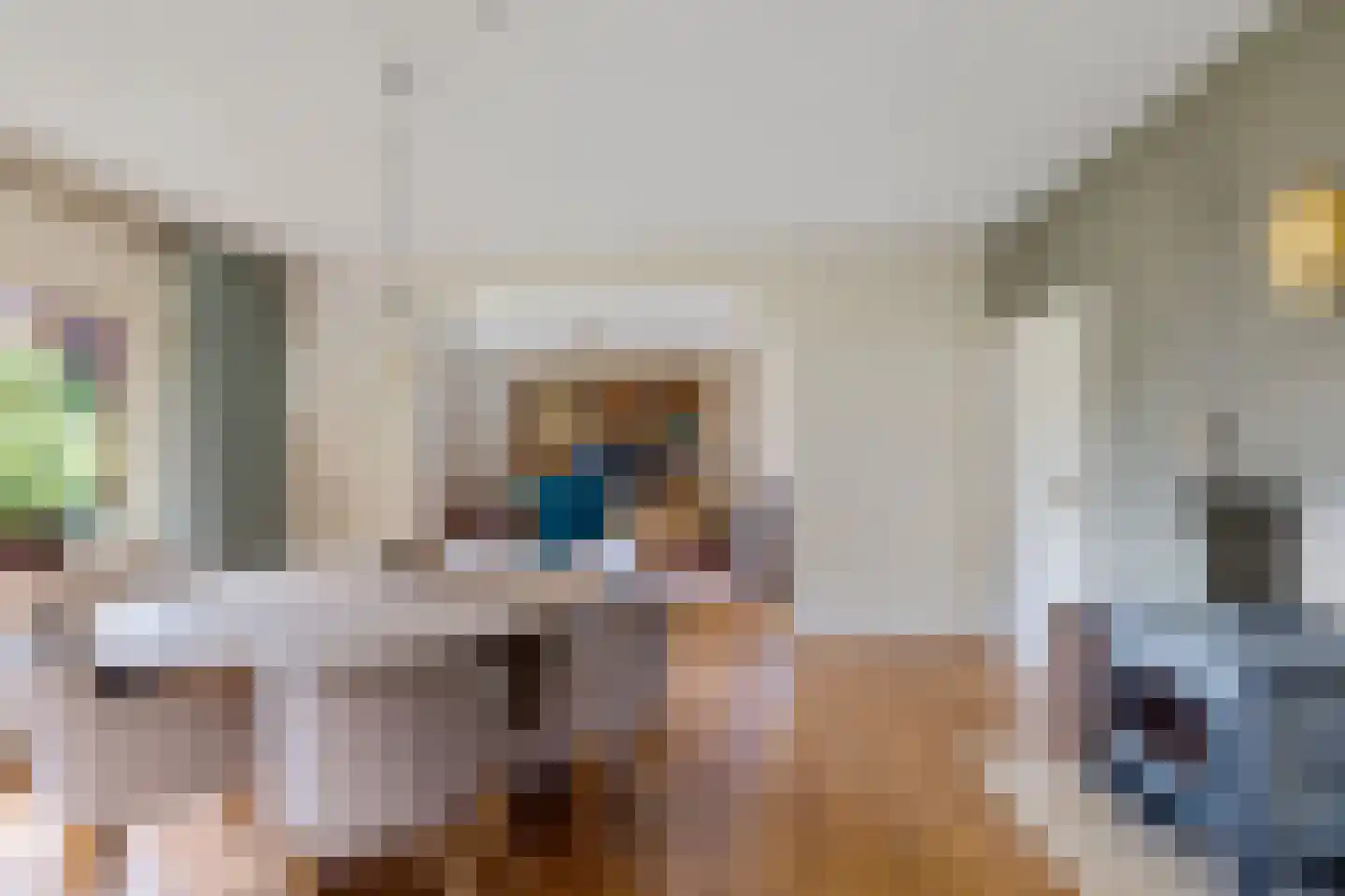 Bisschopsweg 5 Bourtange thumbnail 10