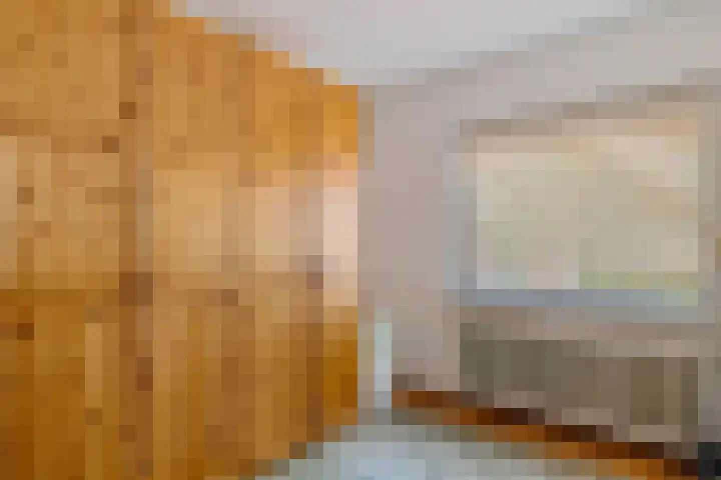 Bisschopsweg 5 Bourtange thumbnail 11