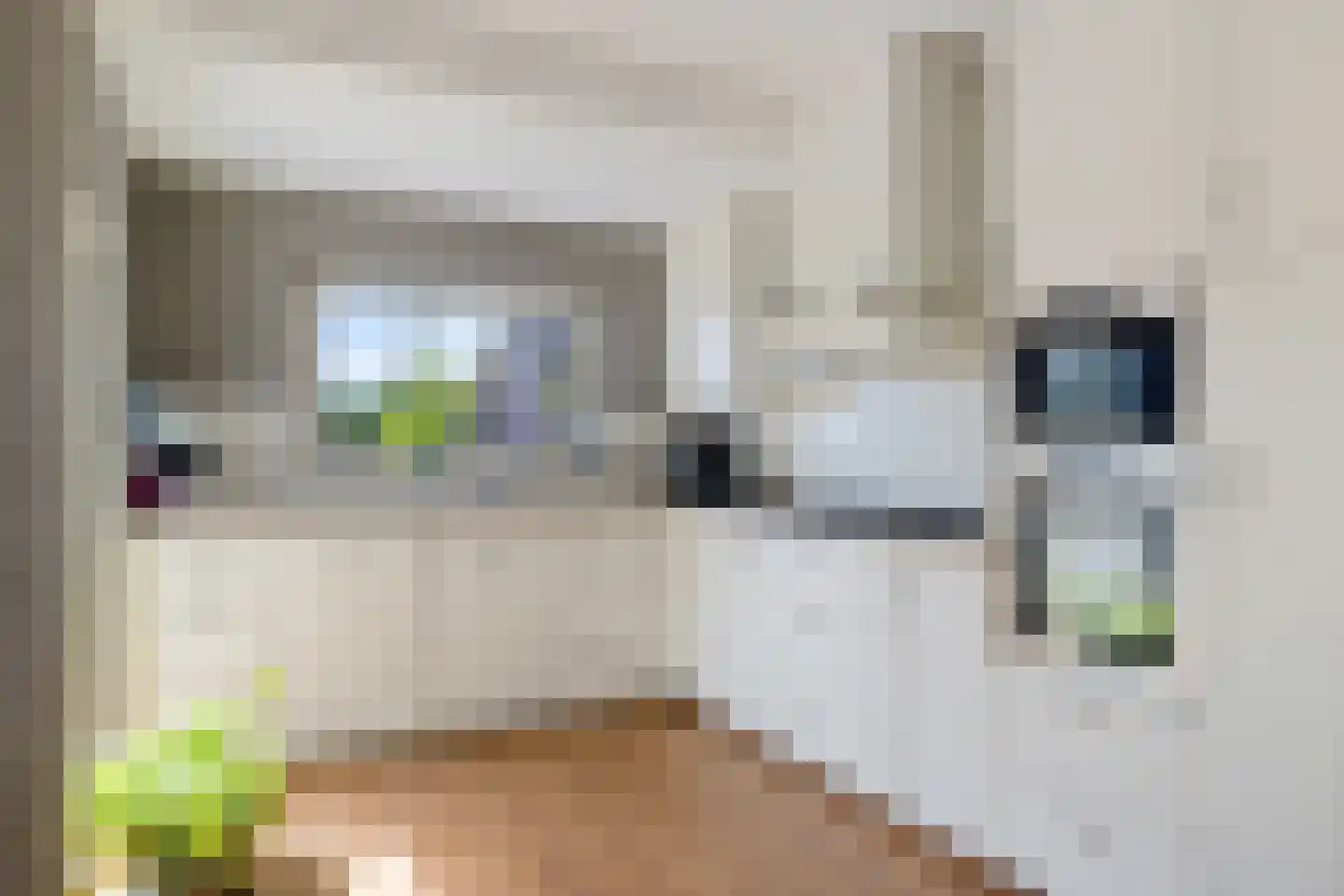 Bisschopsweg 5 Bourtange thumbnail 15