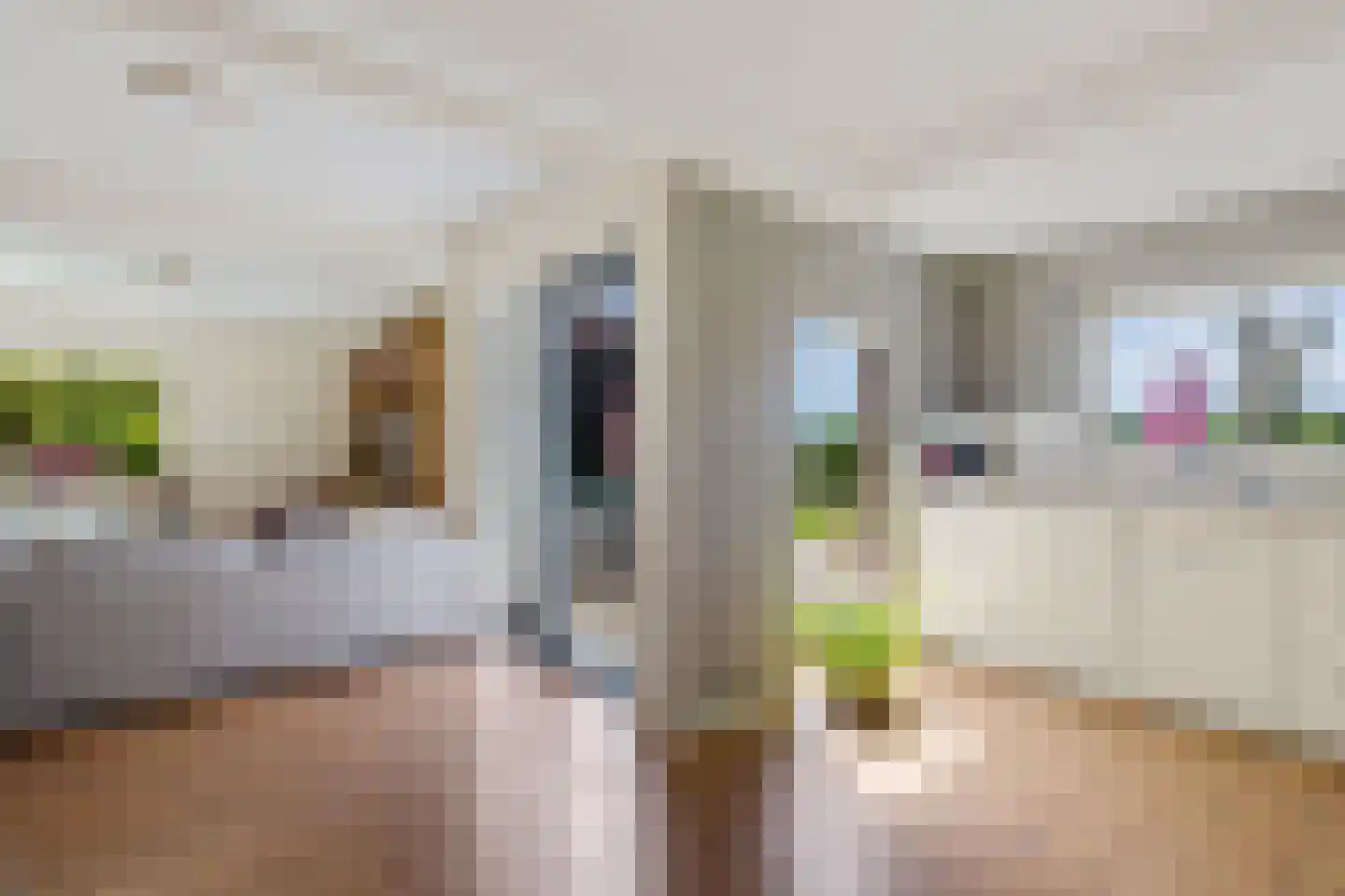 Bisschopsweg 5 Bourtange thumbnail 16