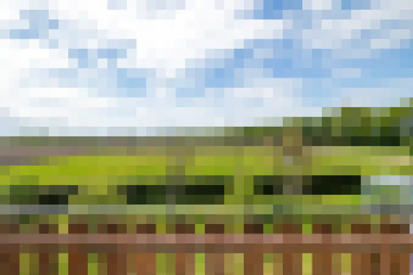 Bisschopsweg 5 Bourtange thumbnail 18