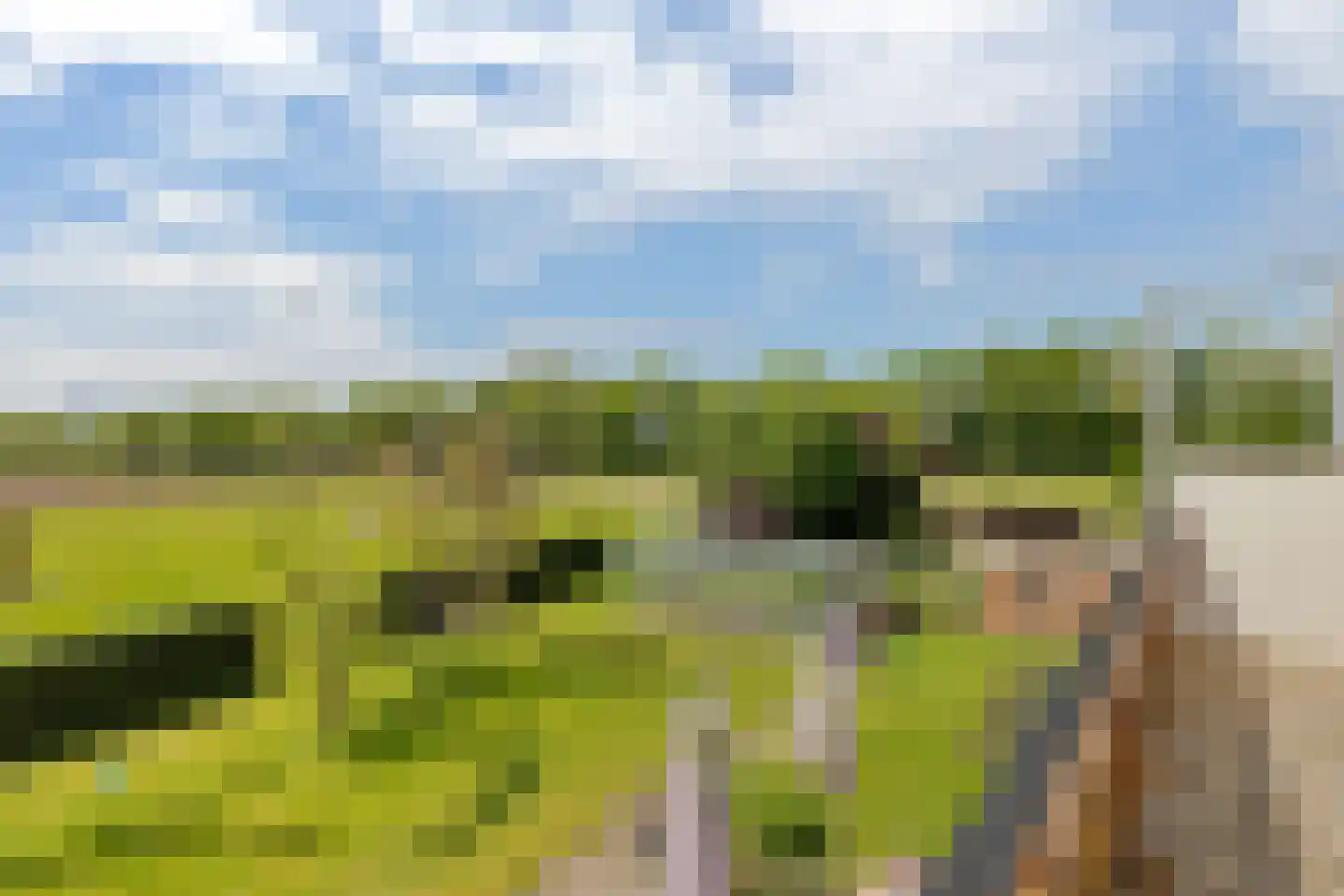 Bisschopsweg 5 Bourtange thumbnail 19