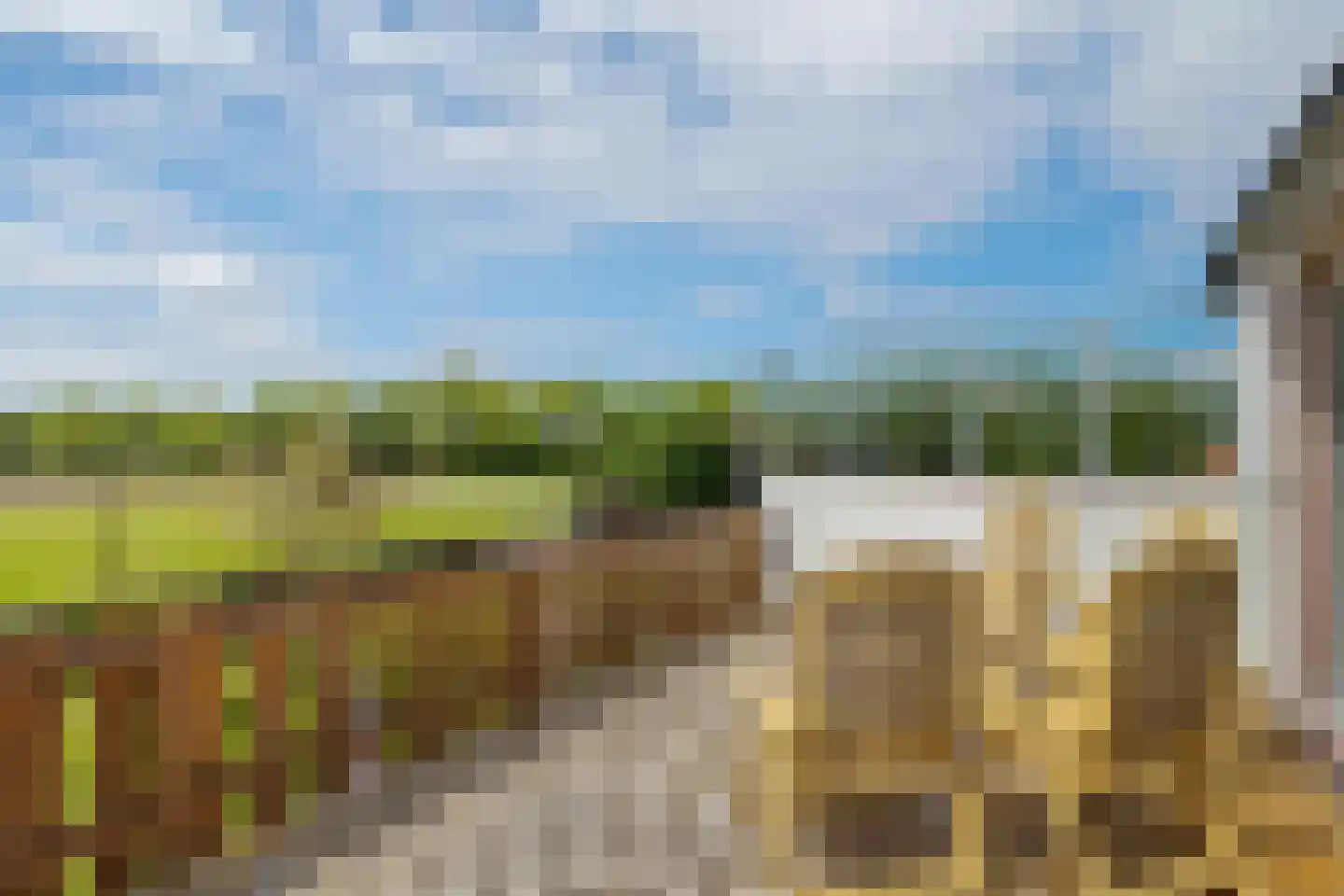 Bisschopsweg 5 Bourtange thumbnail 20