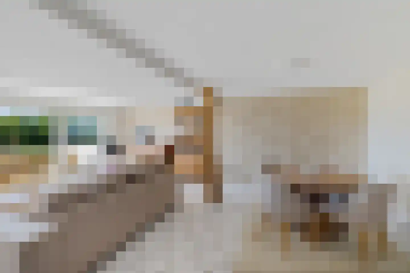 Bisschopsweg 5 Bourtange thumbnail 21