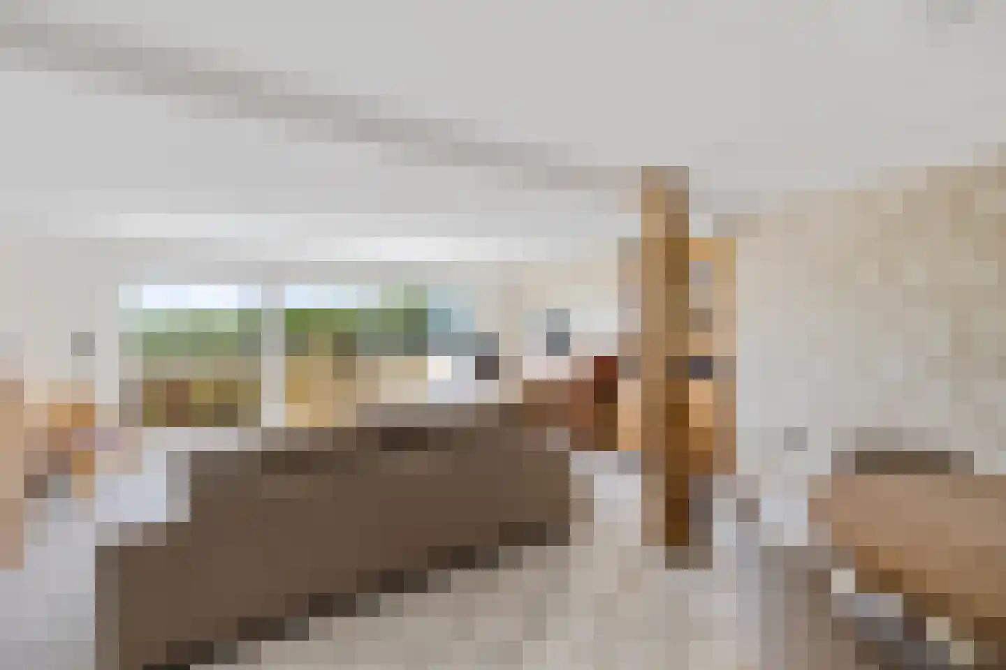 Bisschopsweg 5 Bourtange thumbnail 22