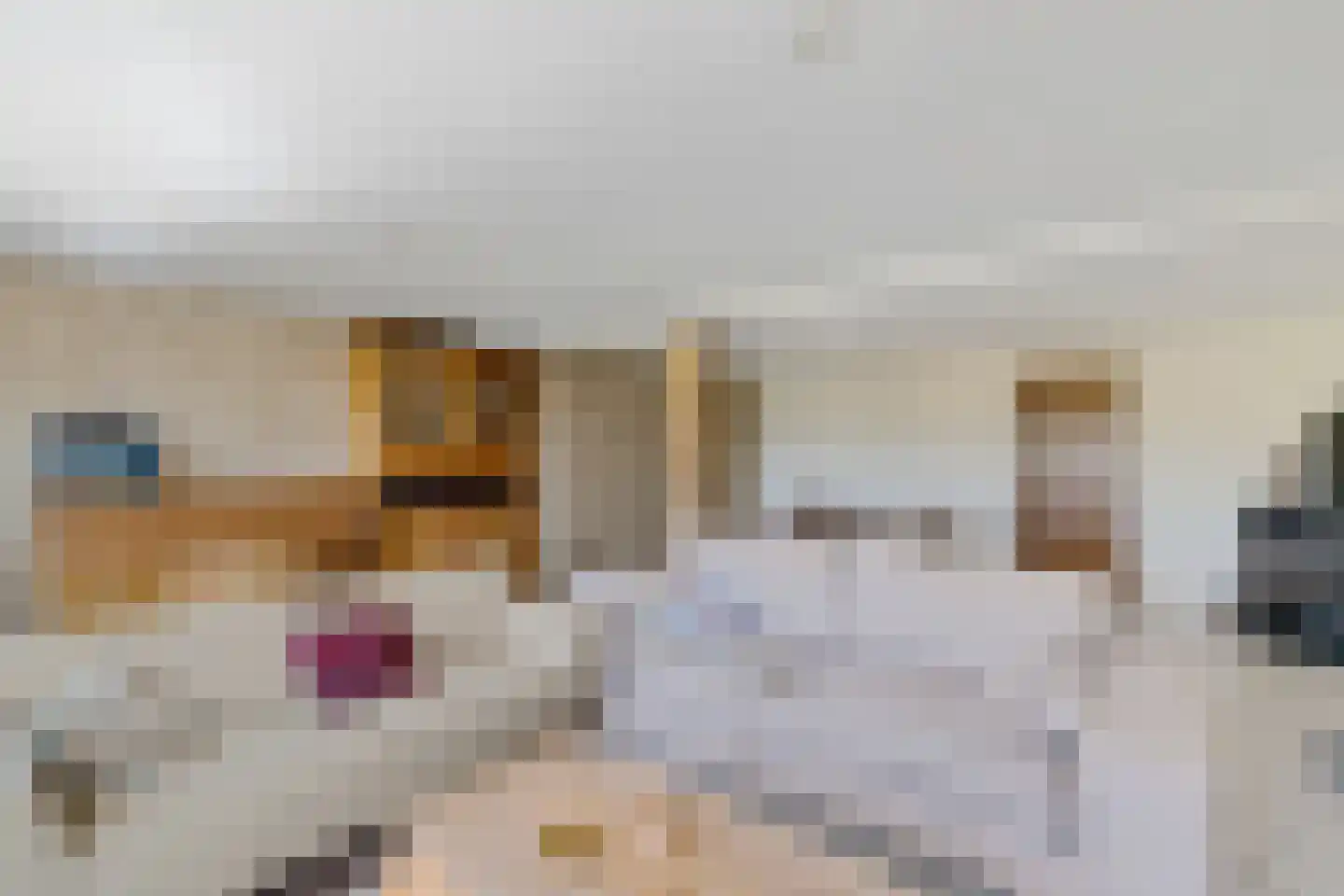 Bisschopsweg 5 Bourtange thumbnail 23