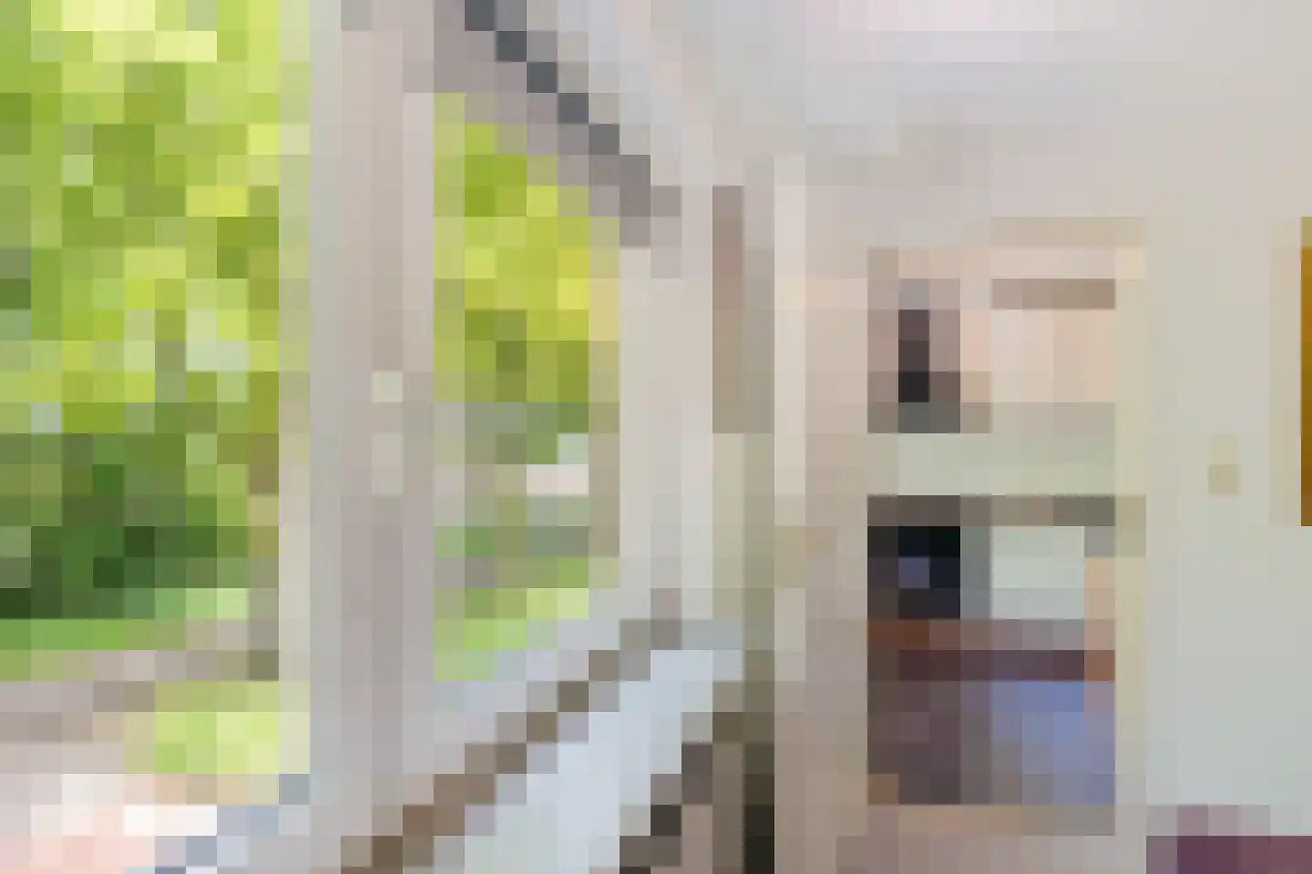 Bisschopsweg 5 Bourtange thumbnail 26