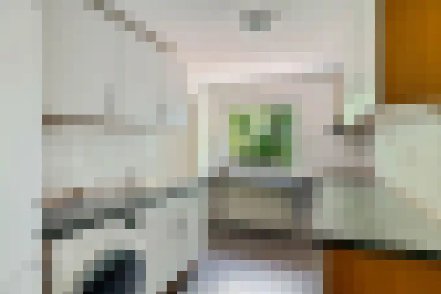 Bisschopsweg 5 Bourtange thumbnail 29