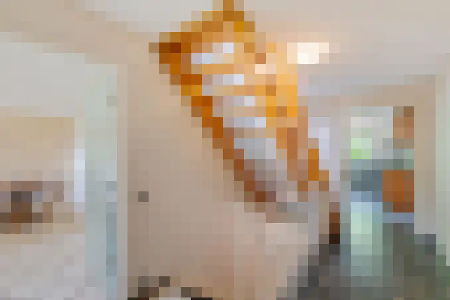 Bisschopsweg 5 Bourtange thumbnail 32