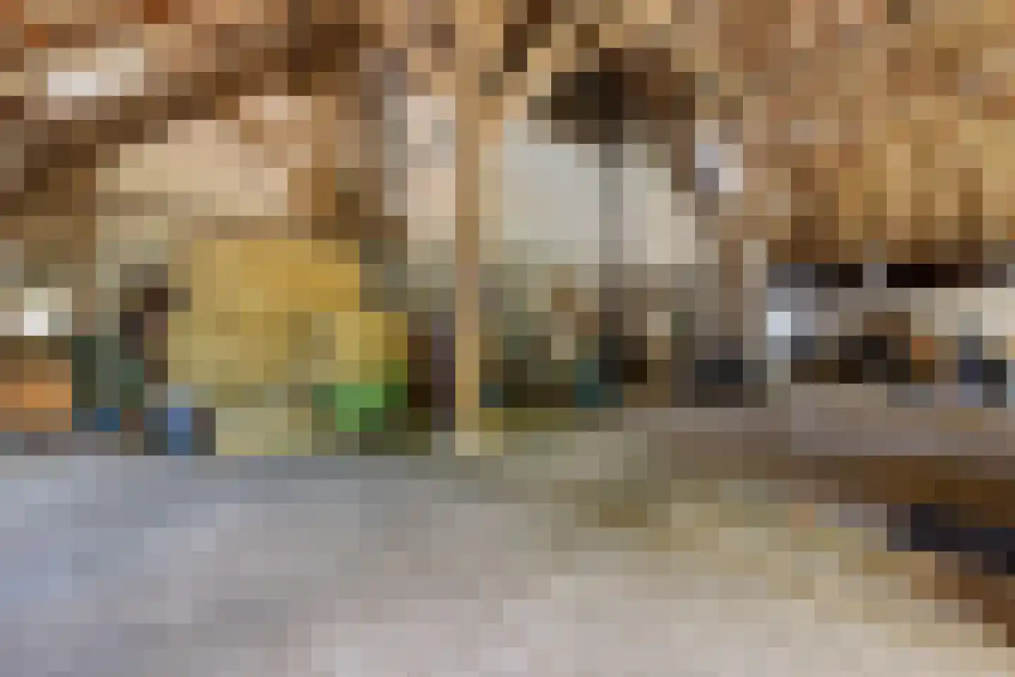 Bisschopsweg 5 Bourtange thumbnail 36
