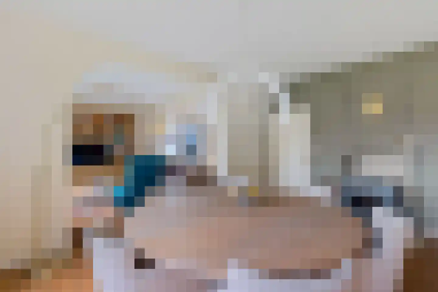Bisschopsweg 5 Bourtange thumbnail 4