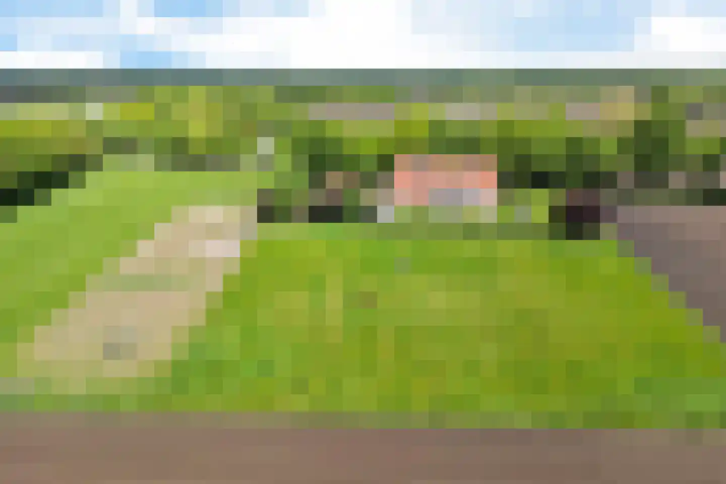 Bisschopsweg 5 Bourtange thumbnail 44