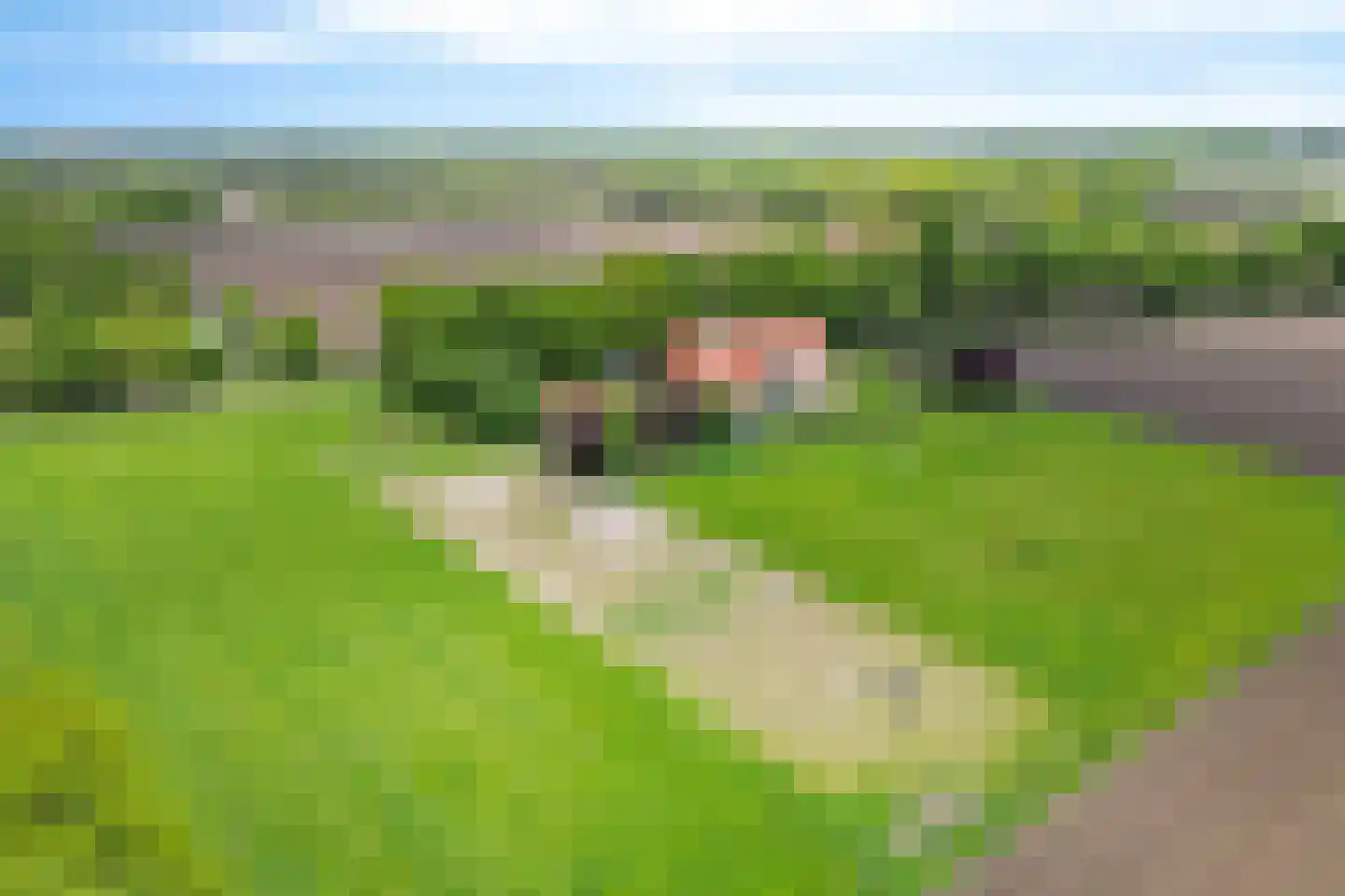 Bisschopsweg 5 Bourtange thumbnail 45