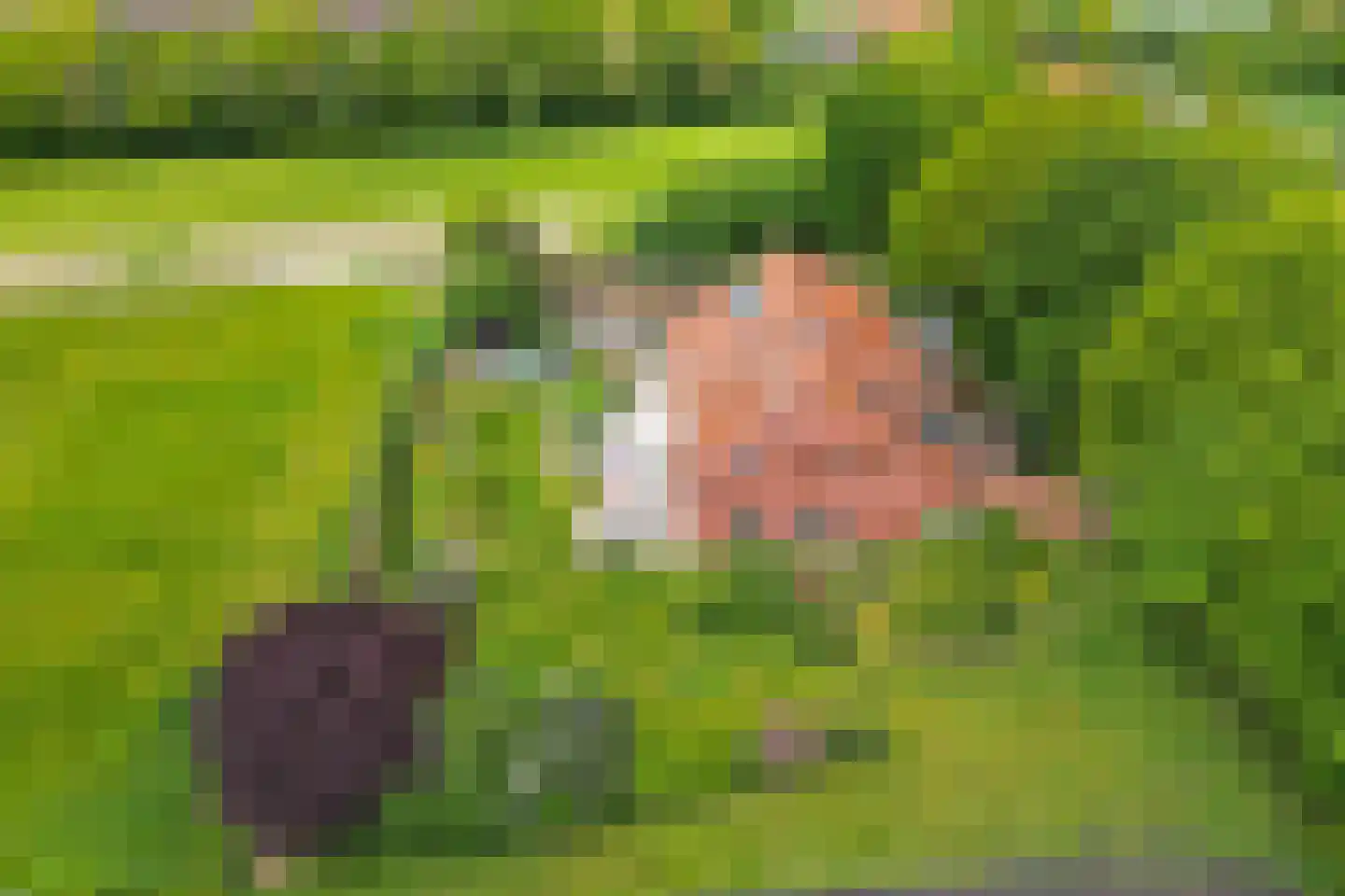 Bisschopsweg 5 Bourtange thumbnail 46