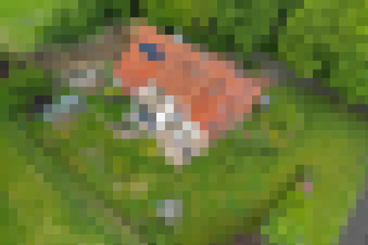 Bisschopsweg 5 Bourtange thumbnail 47