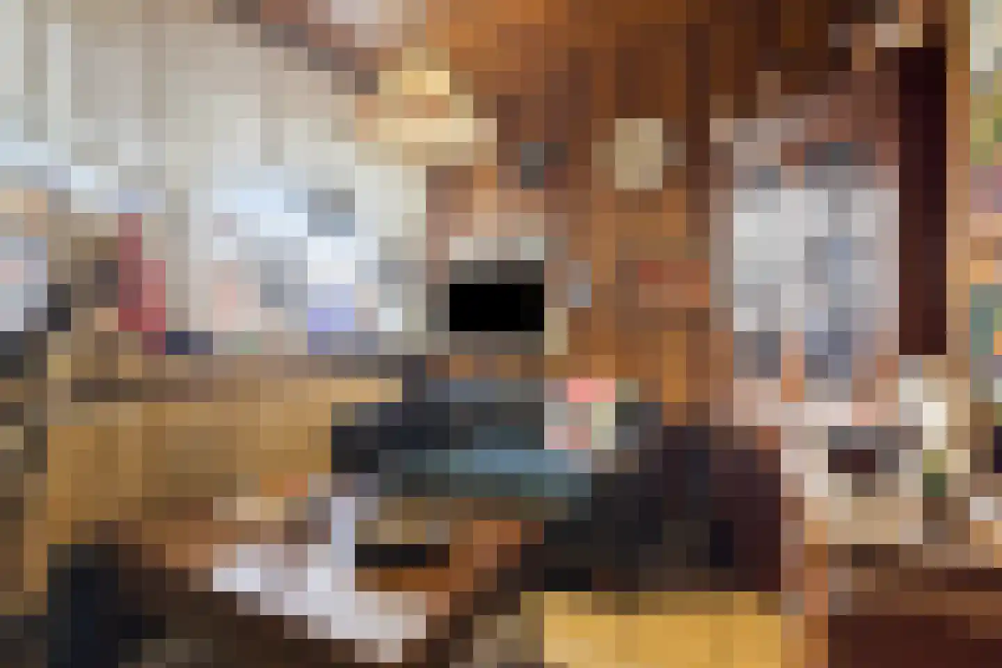 Bisschopsweg 54 Bourtange thumbnail 11