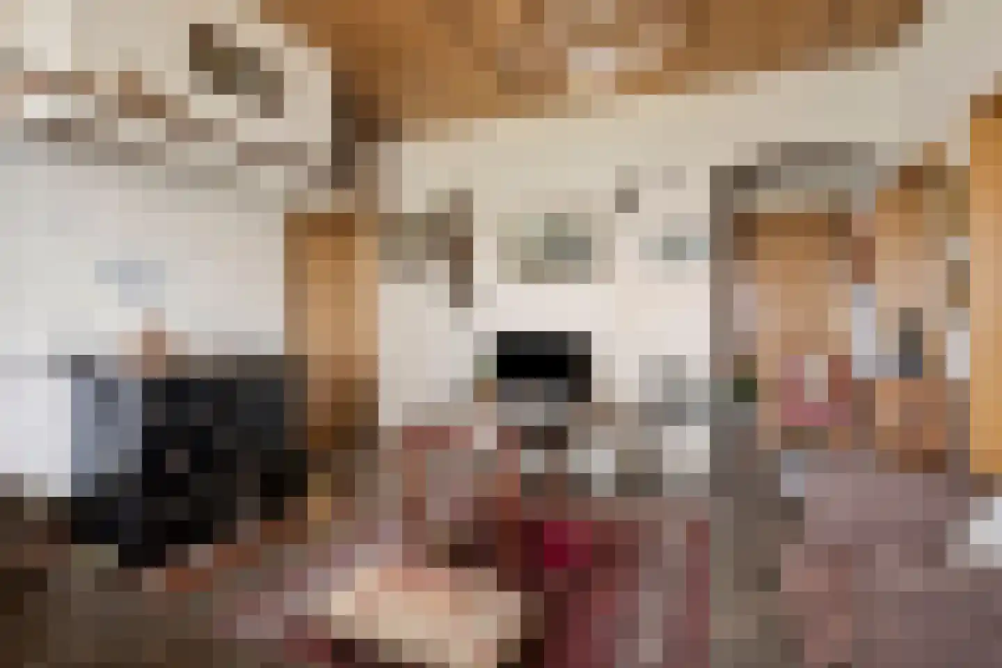 Bisschopsweg 54 Bourtange thumbnail 14