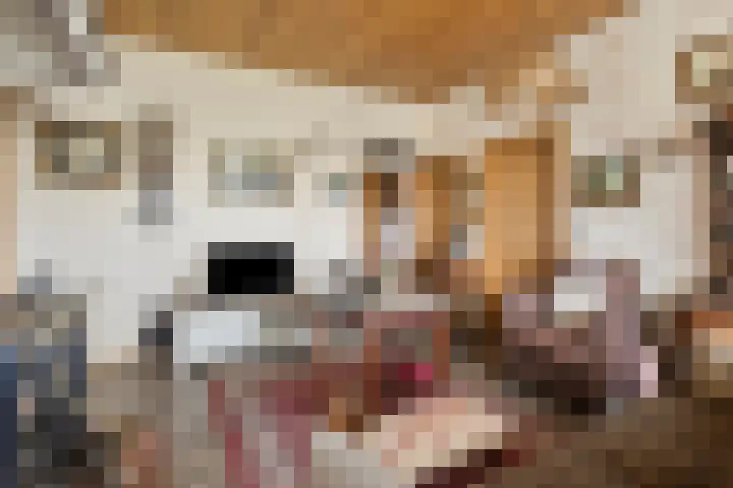 Bisschopsweg 54 Bourtange thumbnail 15