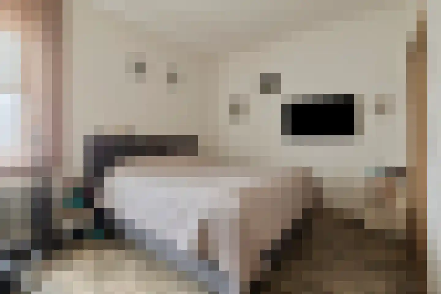 Bisschopsweg 54 Bourtange thumbnail 16