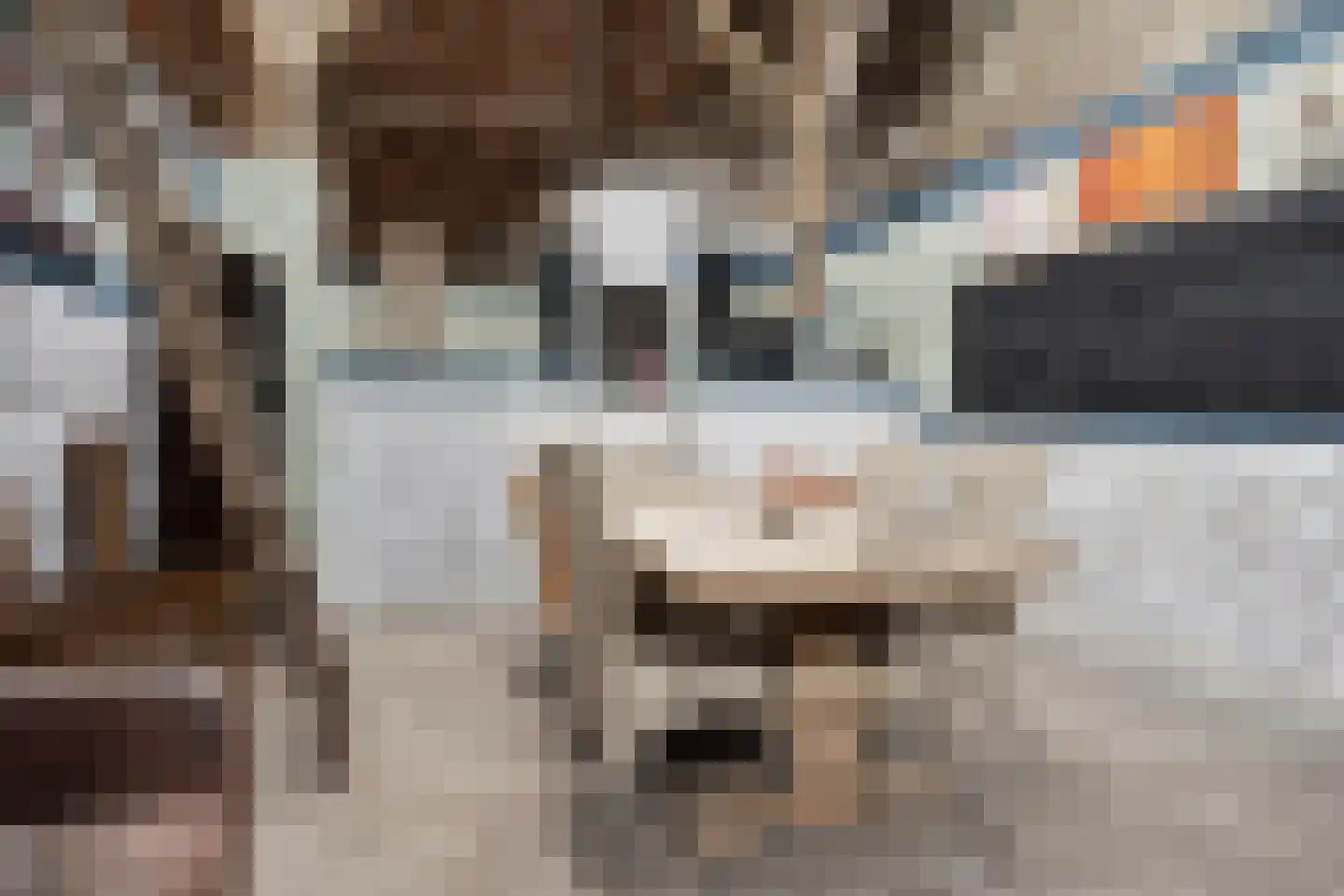 Bisschopsweg 54 Bourtange thumbnail 31
