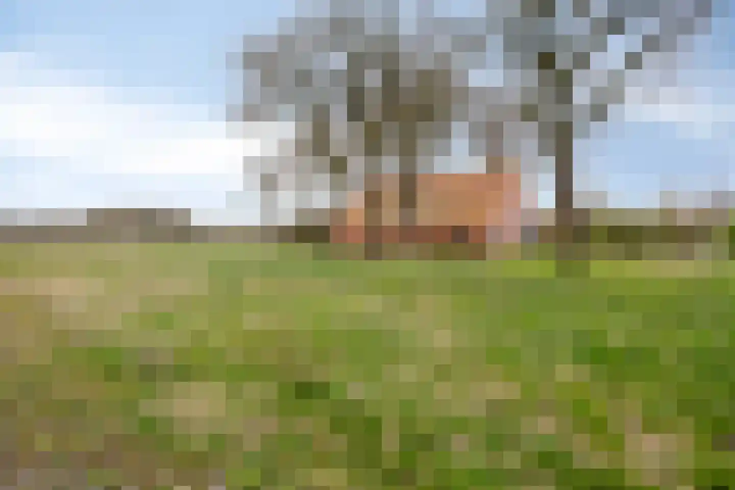Bisschopsweg 54 Bourtange thumbnail 5