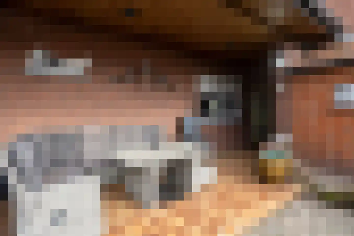 Bisschopsweg 54 Bourtange thumbnail 7