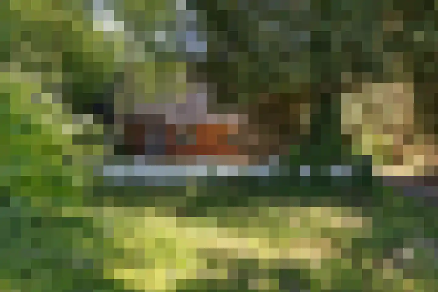 Bisschopsweg 55 Bourtange thumbnail 10