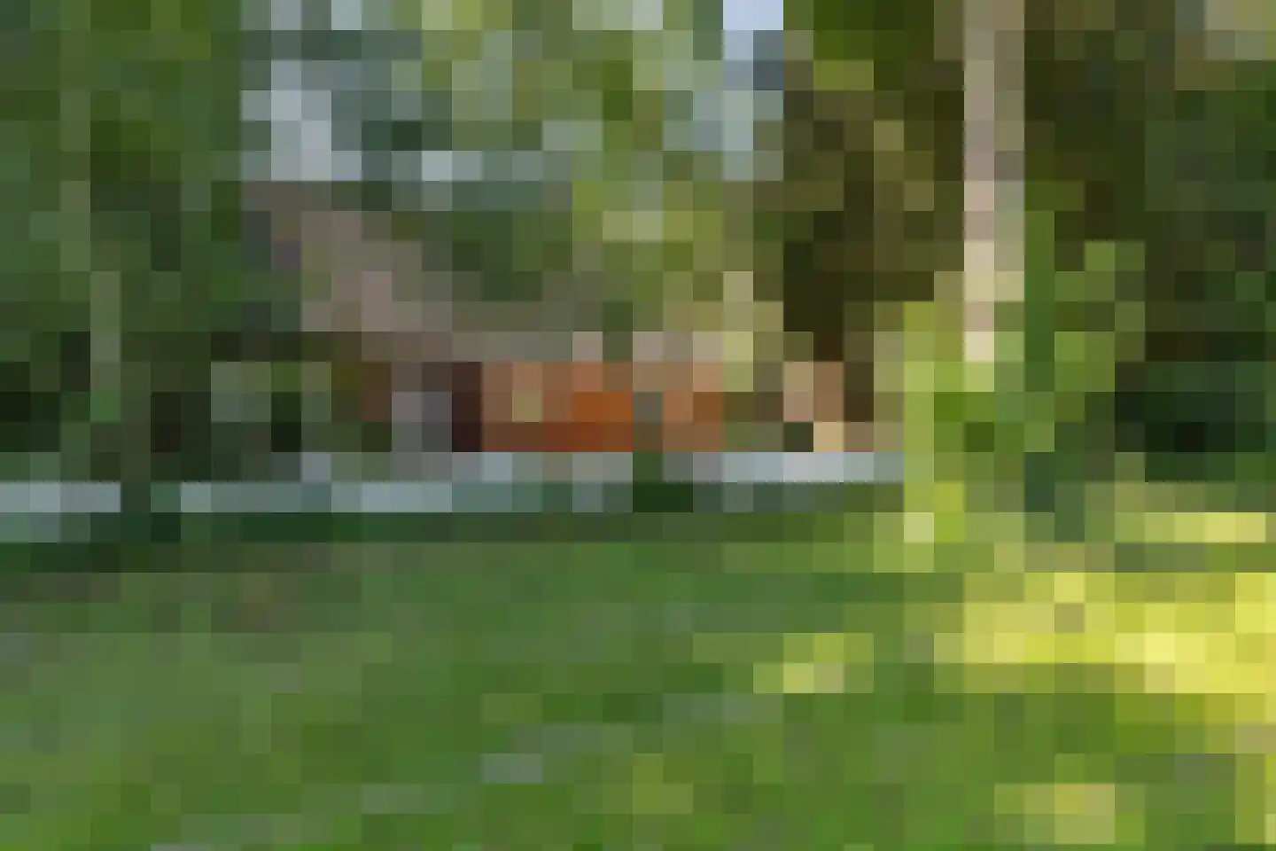 Bisschopsweg 55 Bourtange thumbnail 11