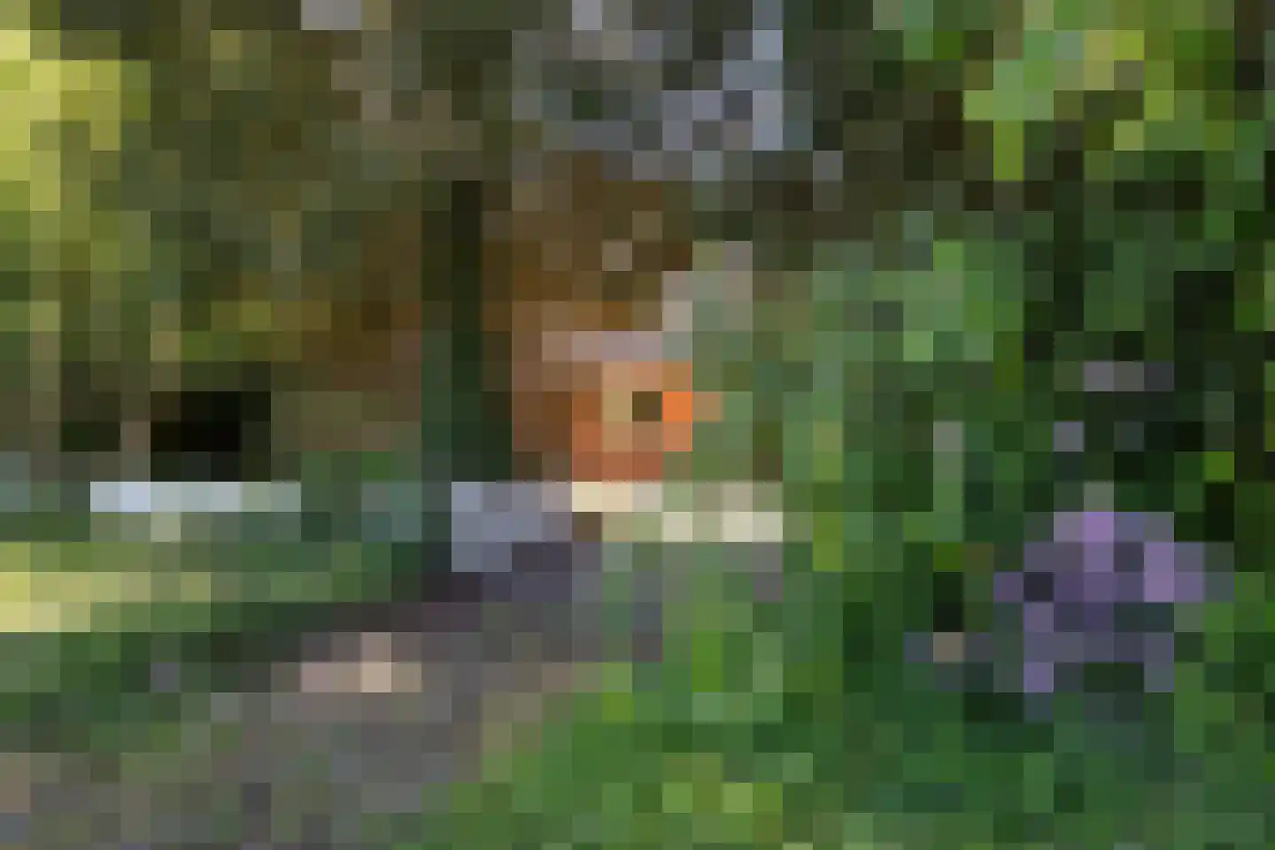 Bisschopsweg 55 Bourtange thumbnail 12