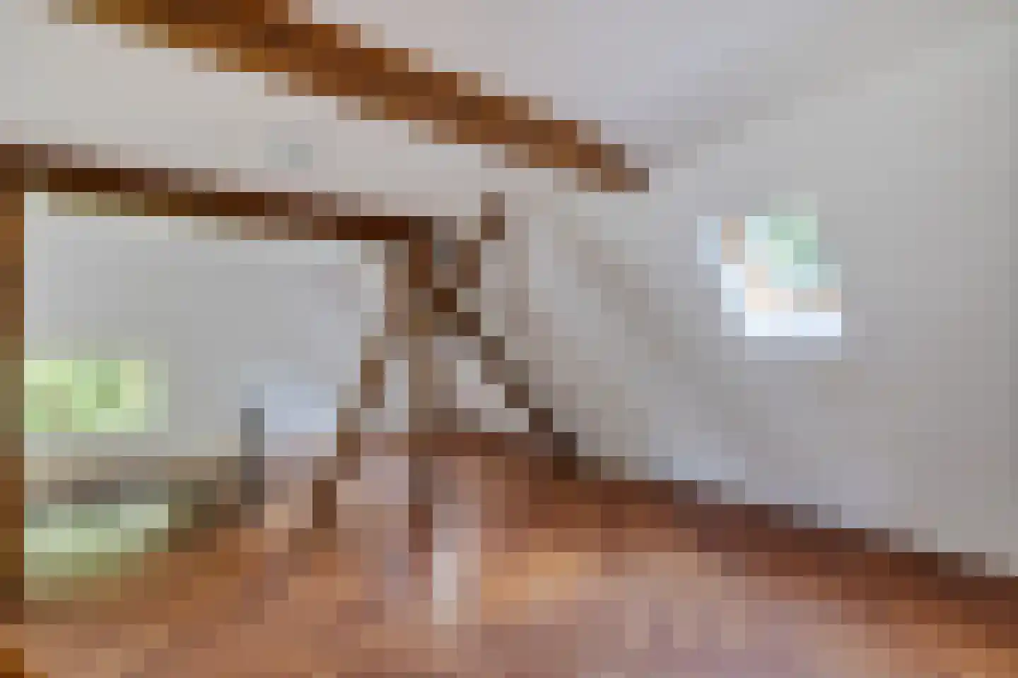 Bisschopsweg 55 Bourtange thumbnail 28