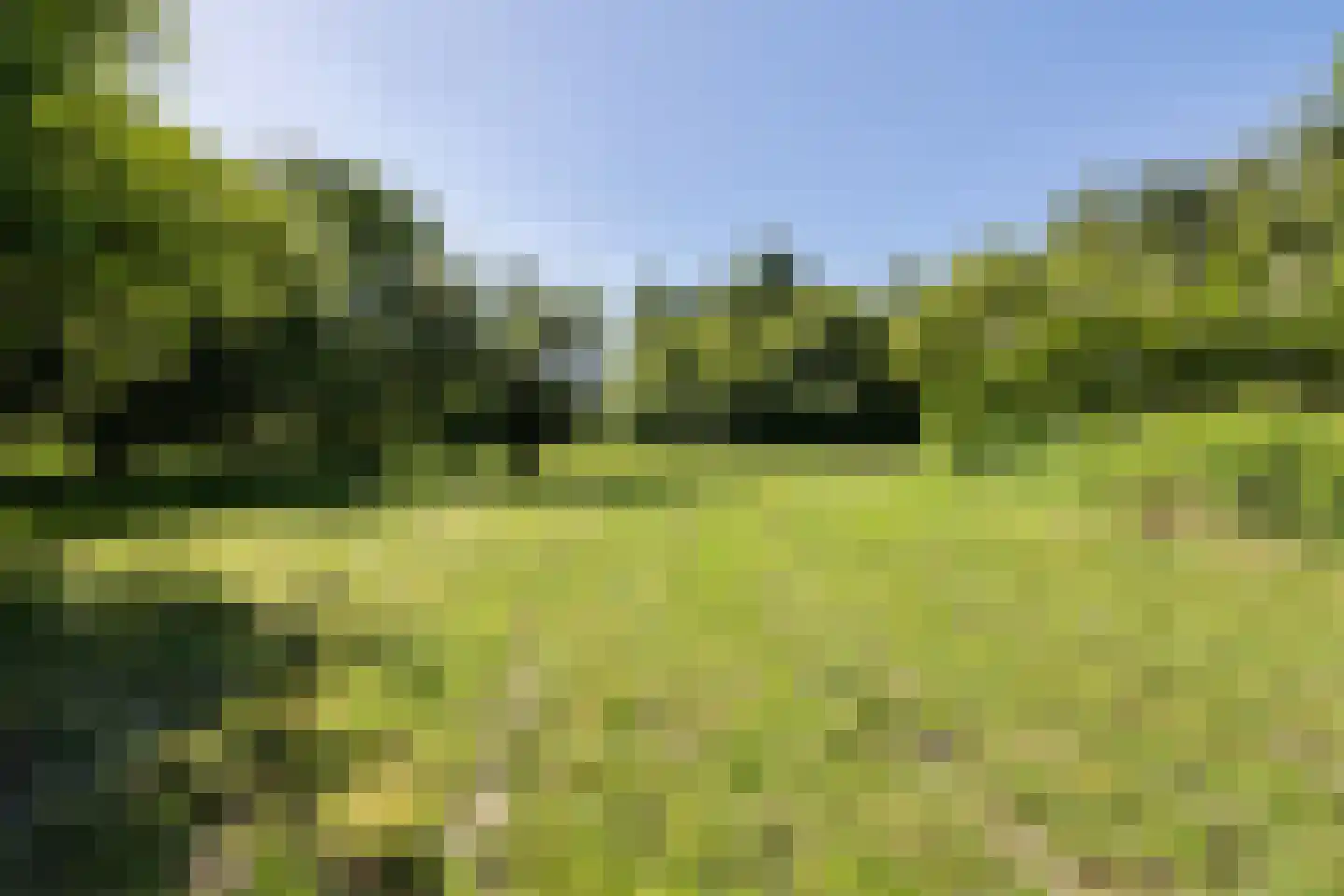 Bisschopsweg 55 Bourtange thumbnail 31