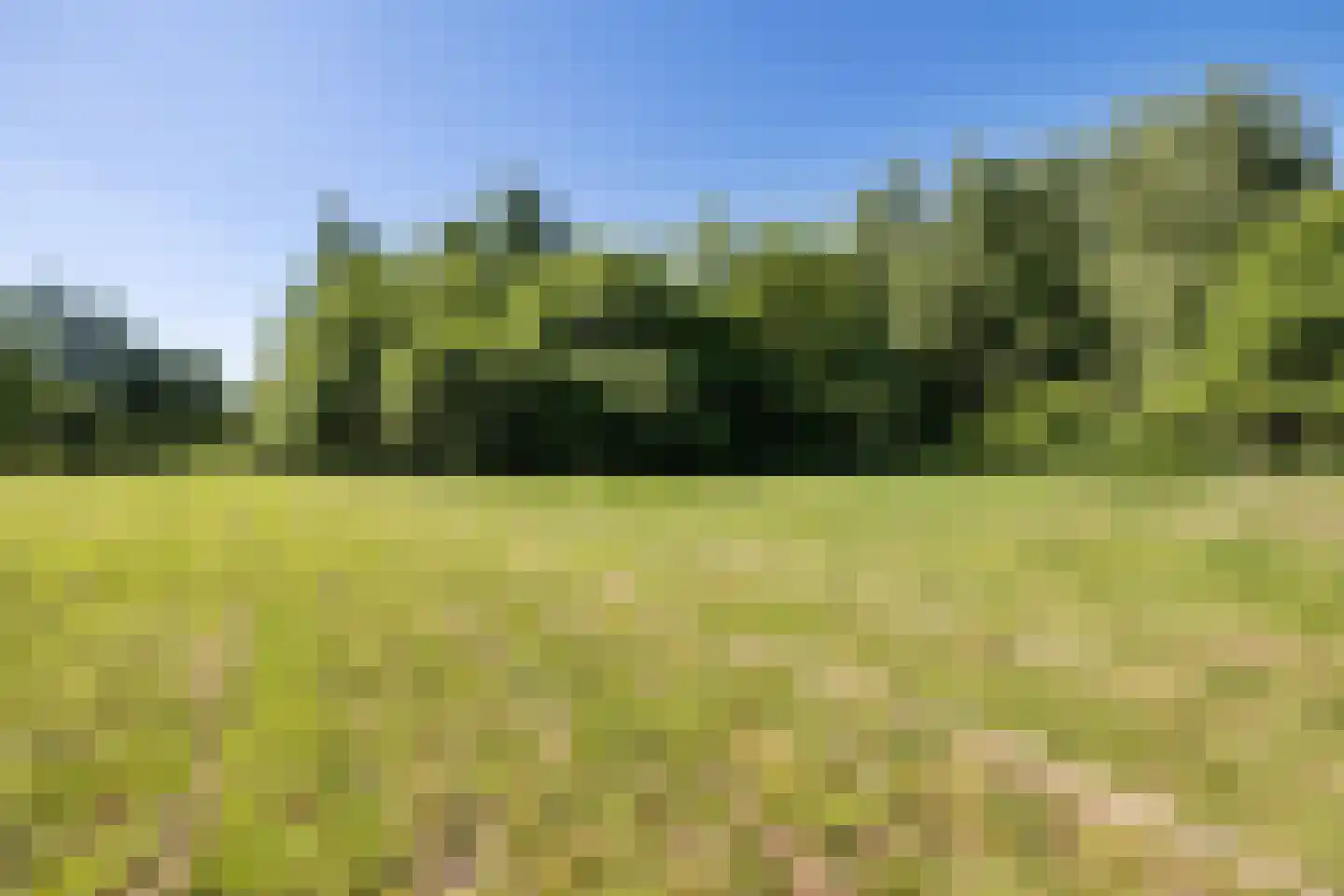 Bisschopsweg 55 Bourtange thumbnail 32