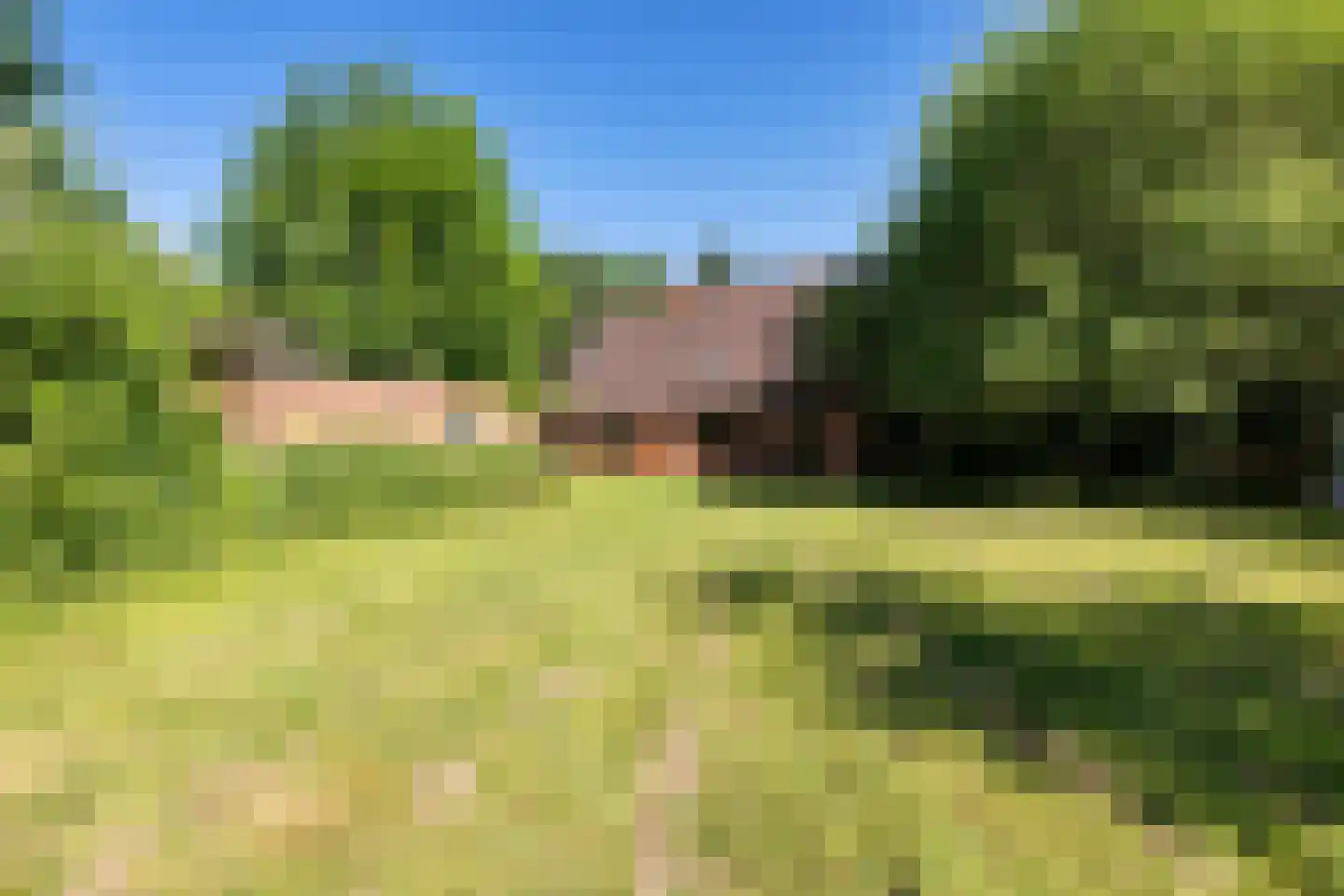 Bisschopsweg 55 Bourtange thumbnail 33