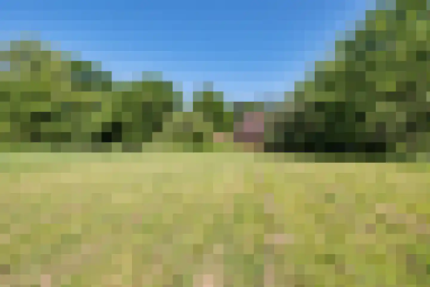 Bisschopsweg 55 Bourtange thumbnail 34