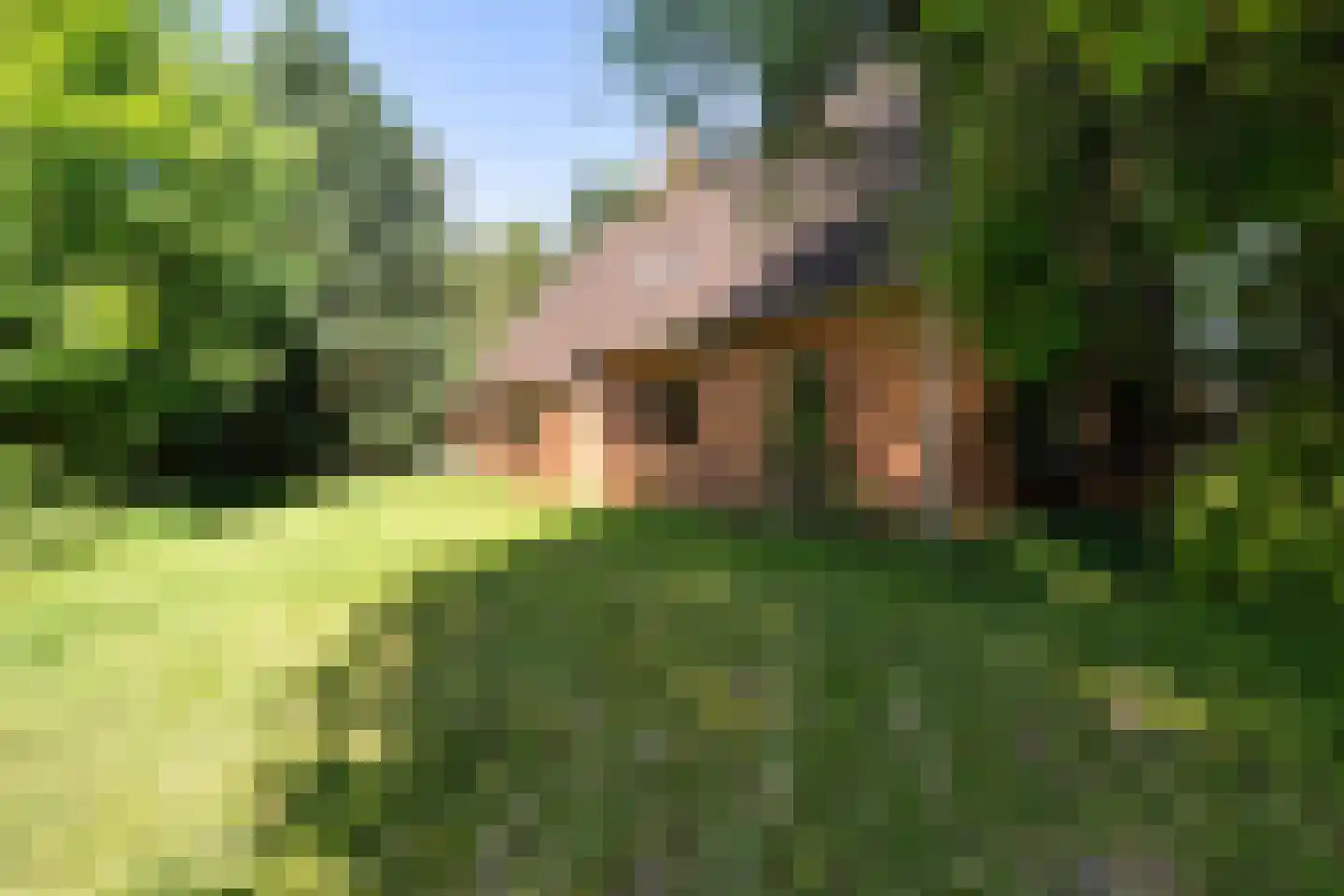 Bisschopsweg 55 Bourtange thumbnail 35