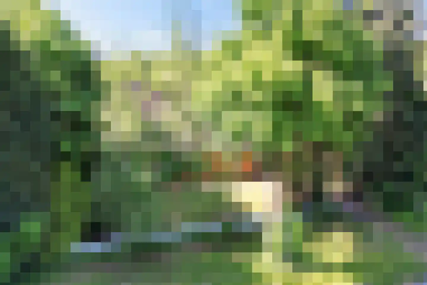 Bisschopsweg 55 Bourtange thumbnail 4
