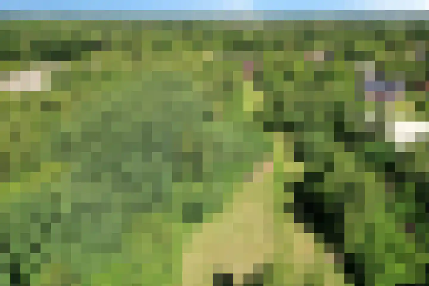 Bisschopsweg 55 Bourtange thumbnail 6