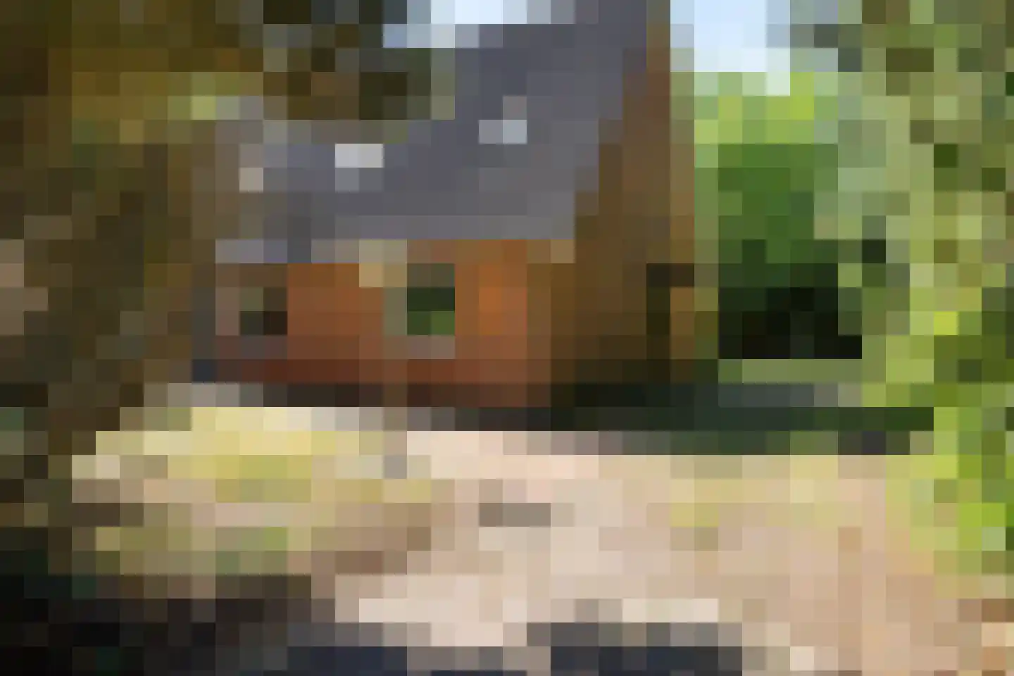 Bisschopsweg 55 Bourtange thumbnail 8