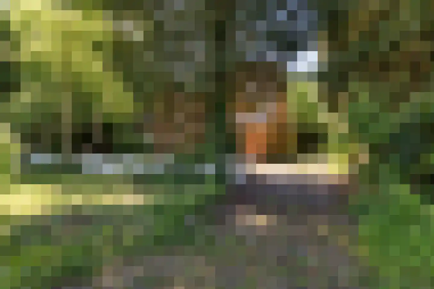 Bisschopsweg 55 Bourtange thumbnail 9