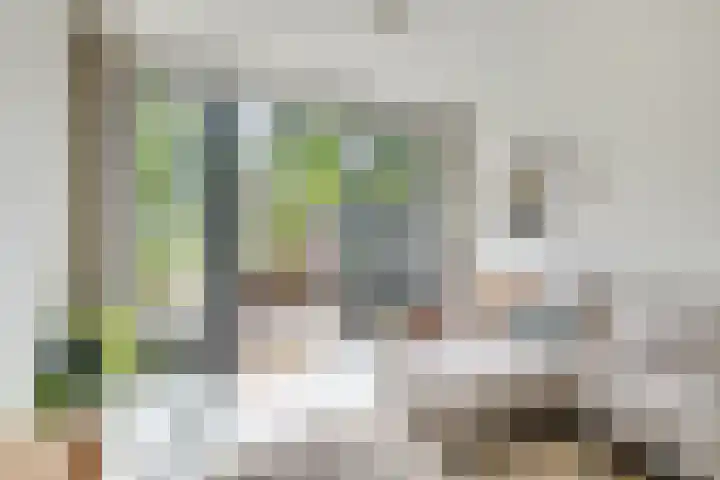 Bisschopsweg 63 Amersfoort thumbnail 17